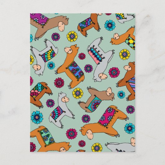 アルパカの郵便はがき ポストカード (正面)