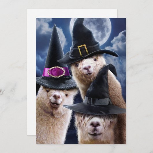 アルパカの魔女たち 招待状 (正面/裏面)