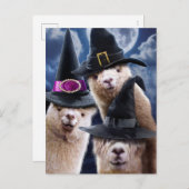 アルパカウィッチーズ インビテーションポストカード (正面/裏面)