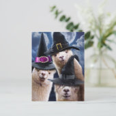 アルパカウィッチーズ インビテーションポストカード (スタンド正面)