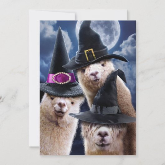 アルパカウィッチーズ 招待状 (正面)