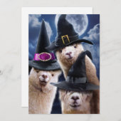 アルパカウィッチーズ 招待状 (正面/裏面)