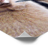 アルパカウィッチ ポスター (角)