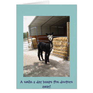 アルパカカード