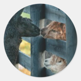 アルパカキスをするステッカー ラウンドシール