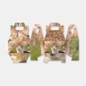 アルパカギフトボックス フェイバーボックス (折り畳みなし)