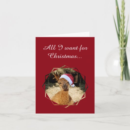 アルパカクリスマスカード シーズンカード (正面)