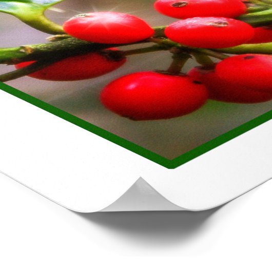 アルパカクリスマス ポスター (角)