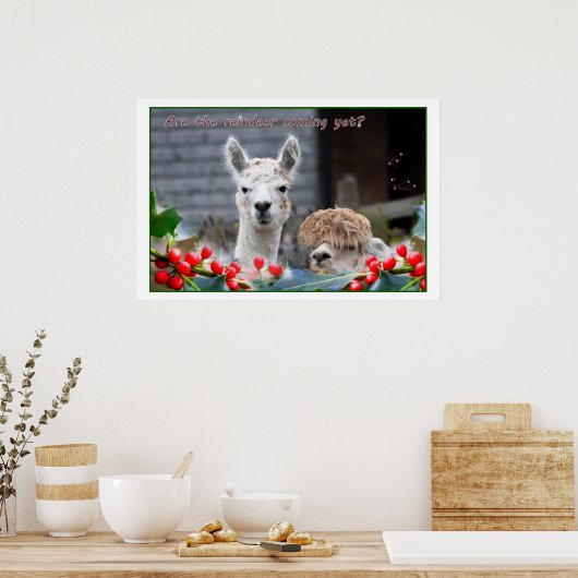 アルパカクリスマス ポスター (キッチン)