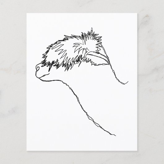 アルパカスケッチ。 チラシ (正面)