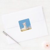 アルパカスプリングタイムセレンディピティ スクエアシール (封筒)