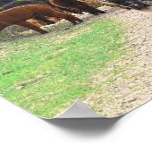 アルパカスポスター ポスター (角)