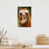 アルパカスマイル ポスター (キッチン)