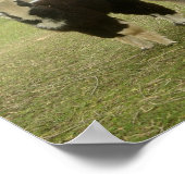 アルパカデュオ ポスター (角)