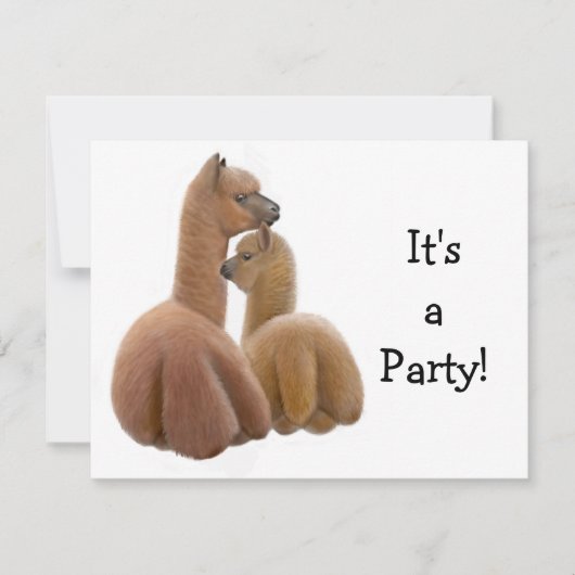 アルパカバディーズ招待状 招待状 (正面)