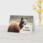 アルパカブラウンアンドホワイトアニマルフォト悔やみや弔慰 カード (黄色い花)