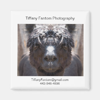 アルパカプロモピース マグネット