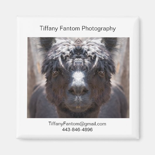 アルパカプロモピース マグネット (正面)