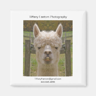 アルパカプロモピース マグネット