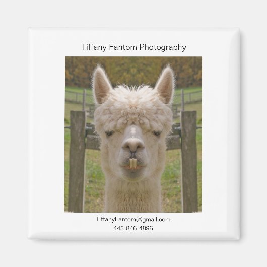 アルパカプロモピース マグネット (正面)