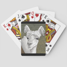 アルパカポートレート2