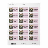 アルパカラマ差出人住所ラベル ラベル (フルシート)