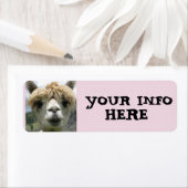 アルパカラマ差出人住所ラベル ラベル (インサイチュ)