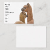 アルパカ愛名刺 名刺 (正面/裏面)