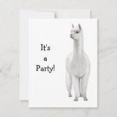 アルパカ招待状 招待状 (正面)