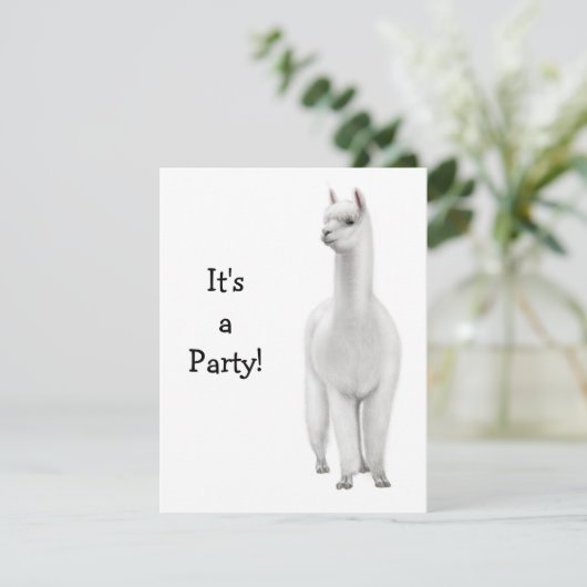 アルパカ招待状 招待状 (スタンド正面)