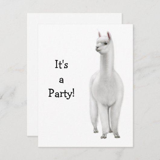 アルパカ招待状 招待状 (正面/裏面)