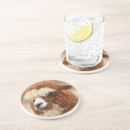 アルパカ海岸 コースター (側面)