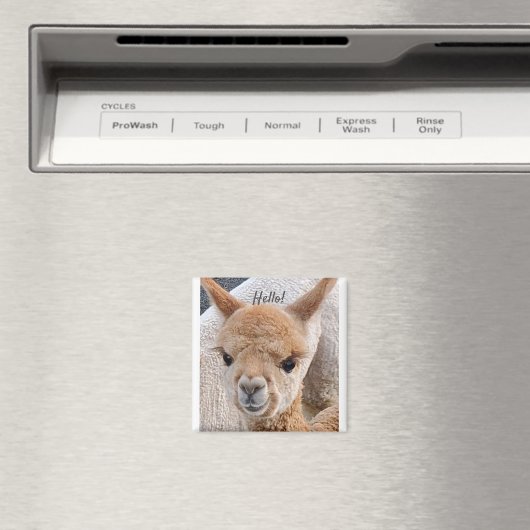 アルパカ磁石 マグネット (インサイチュ (食洗機))