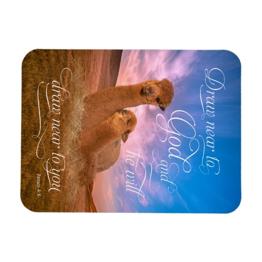 アルパカ聖書の聖句が神の近くに描画フォトマグネット マグネット (横)