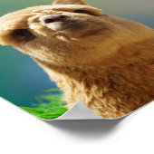 アルパカ金ゴールドティール(緑がかった色)バイブル引用文ポスター ポスター (角)