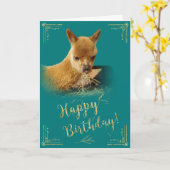 アルパカ金ゴールドヘイティール(緑がかった色)誕生日カード カード (黄色い花)