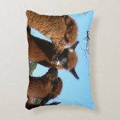 アルパカ アクセントクッション (正面(垂直))