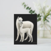 アルパカ&クリアポストカード ポストカード (スタンド正面)