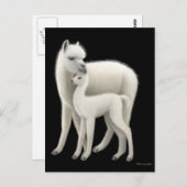 アルパカ&クリアポストカード ポストカード (正面/裏面)