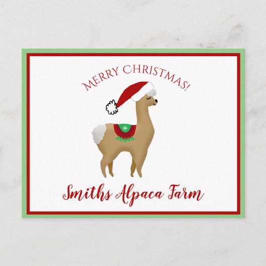 アルパカ クリスマス ホリデー ポストカード (正面)