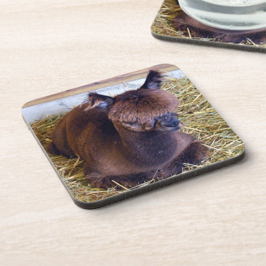 アルパカ コースター (左側)