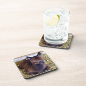 アルパカ コースター (右側)