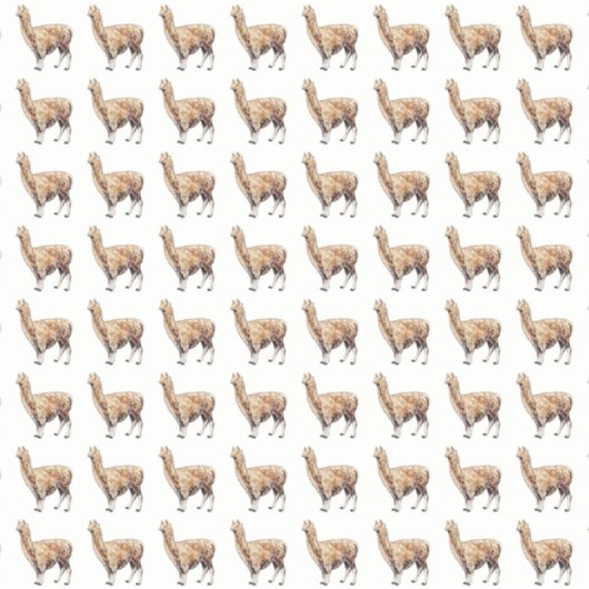 アルパカ シール (正面)