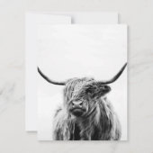 アルパカ タコ タコス アルパカ 招待状 (裏面)