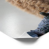 アルパカ フォトプリント            (角)