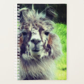 アルパカ プランナー手帳 (正面)