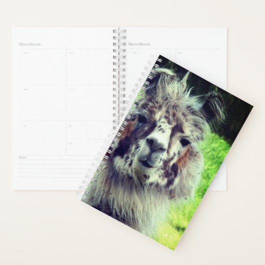 アルパカ プランナー手帳 (ディスプレー)