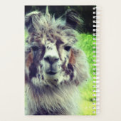 アルパカ プランナー手帳 (裏面)