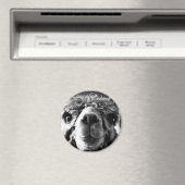 アルパカ マグネット (インサイチュ (食洗機))