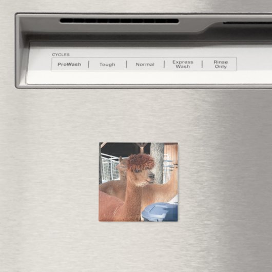 アルパカ マグネット (インサイチュ (食洗機))